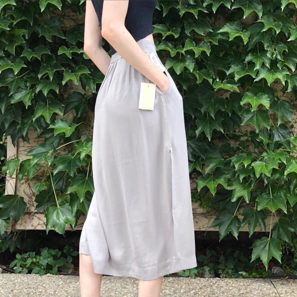 NWT Wilfred Gabrielle Skirt Ashen - Picture 4 of 7